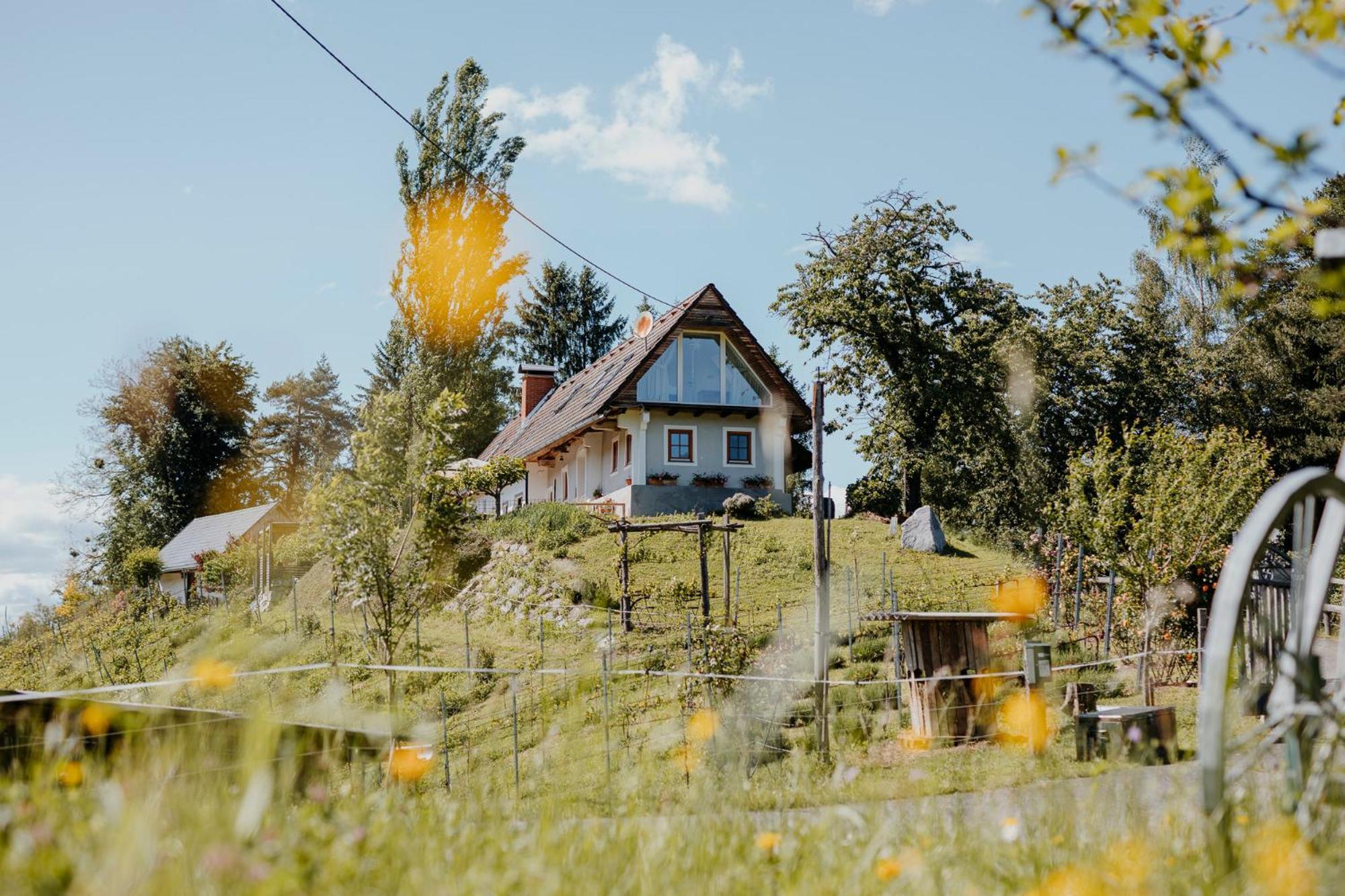 Ferienhaus Am Herbsthof Leutschach Exterior photo